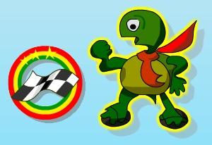 Rolling Turtle
