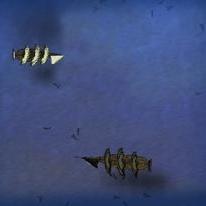 Cursed Winds