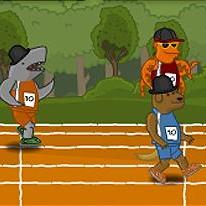 Animal Raceway